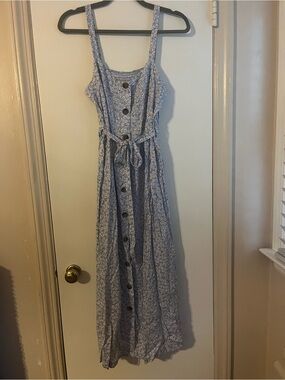 Pink Rose Light Blue Floral Sundress with Button Front